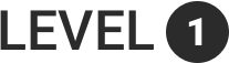 LEVEL 1