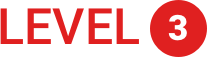 LEVEL 3